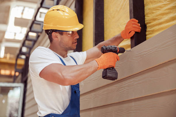 Best Historical Building Siding Restoration  in Island Lake, IL